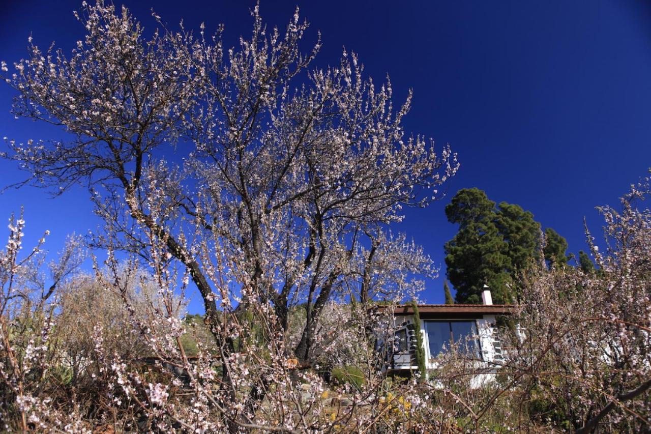Panorama Suite El Mirador Puntagorda Екстериор снимка